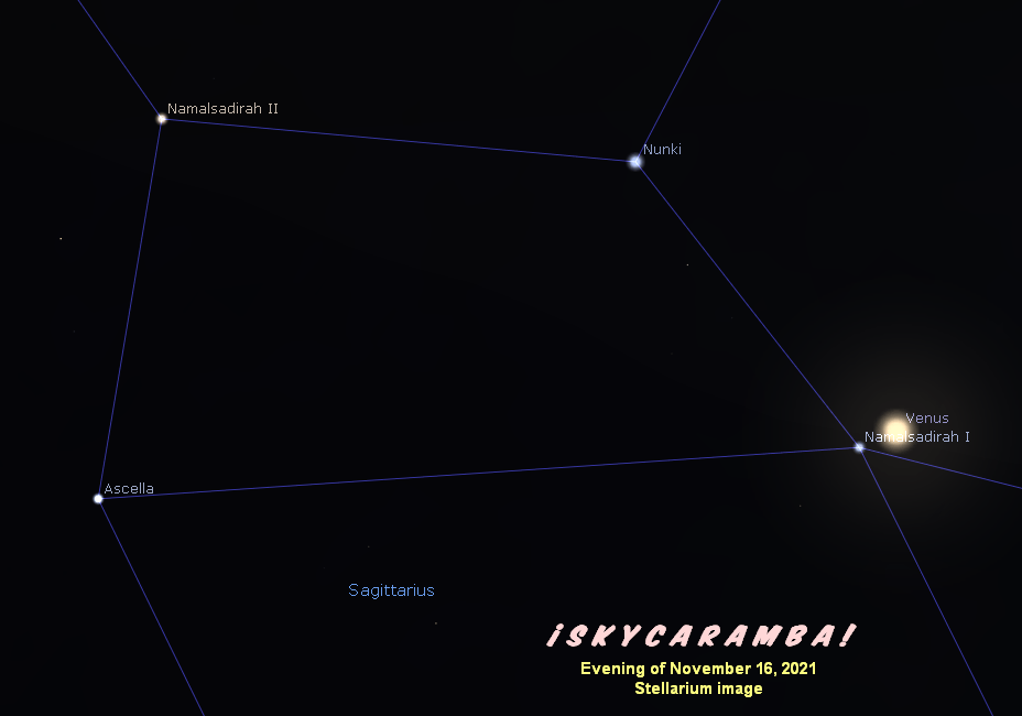 Venus close to stars Namalsadirah I on November 16, 2021 and Nunki three evenings later.