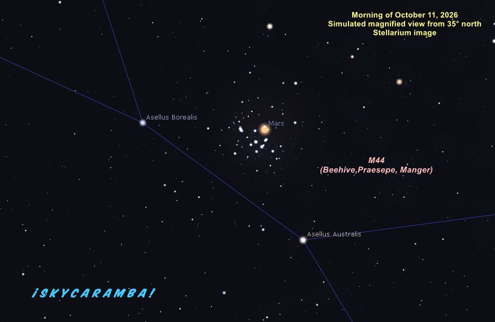 Mars in M44 on October 11, 2026, simulated binocular view made with Stellarium