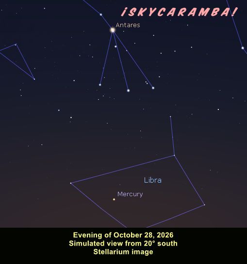 Mercury on its way out of the evening sky, simulated here from the southern hemisphere evening of October 28, 2026. Stellarium image
