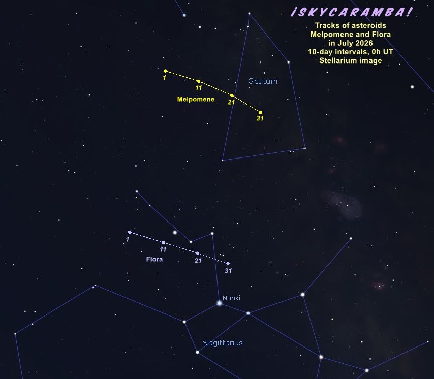 The tracks of asteroids Melpomene and Flora in the sky during July 2026. Made with Stellarium