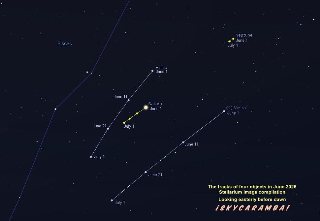 The tracks of planets Saturn and Neptune and asteroids Pallas and Vesta in June 2026, made from Stellarium simulations
