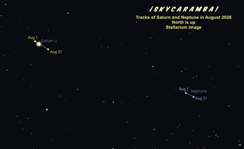 Tracks of Saturn and Neptune in August 2026, made with Stellarium