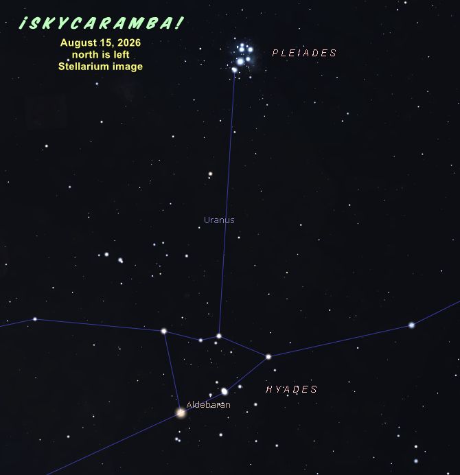 Uranus between the Pleiades and Hyades, August 15, 2026, Stellarium simulation