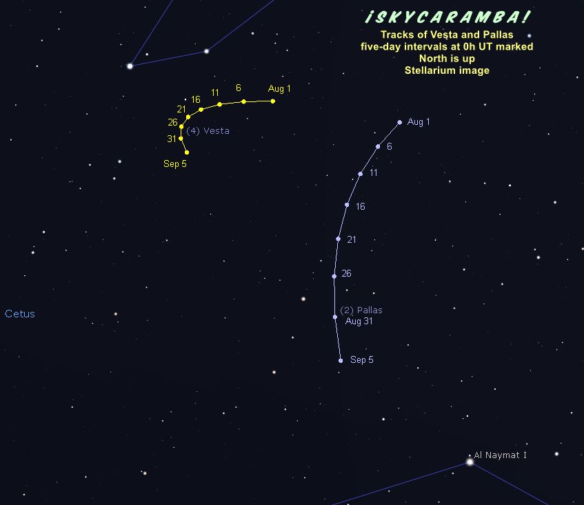 Tracks of Vesta and Pallas, August 2026, Stellarium simulation